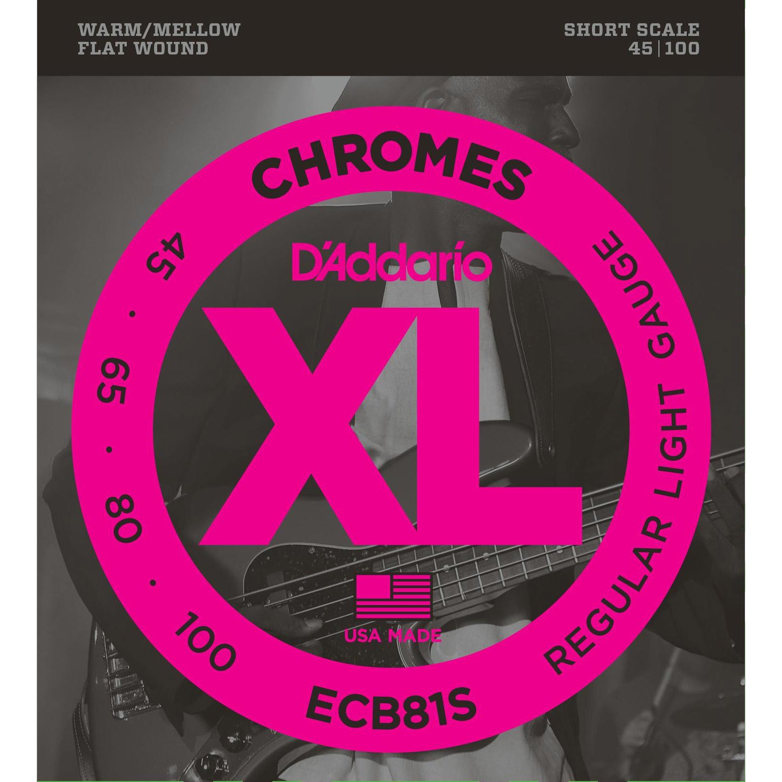 D'Addario Regular Light Short Scale Chromes Bass Strings ECB81S