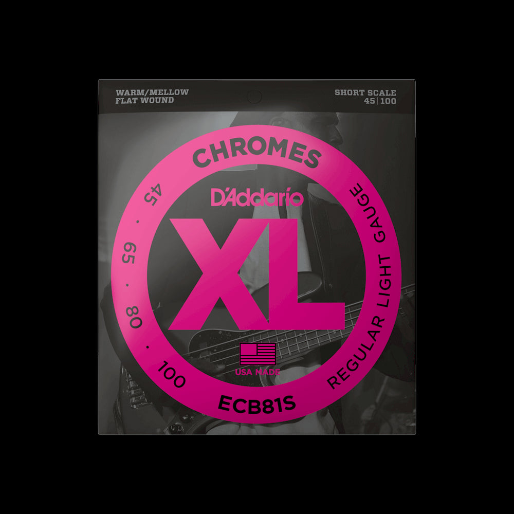 D'Addario Regular Long Scale Chromes Bass Strings ECB81 45/100