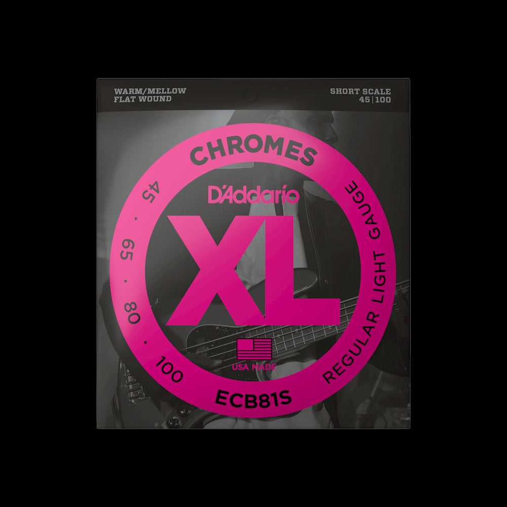 D'Addario Regular Long Scale Chromes Bass Strings ECB81  45/100