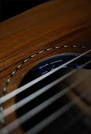 Fenech VT Hardwood Series D78 Cutaway All Blackwood