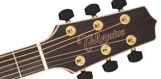 Takamine G20 Series NEX AC/EL Guitar with Cutaway in Natural Satin Finish