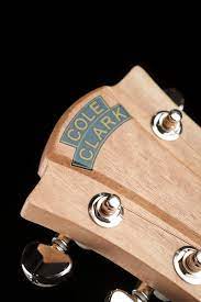 Cole Clark FL2EC-BMR-ANVSY 20th Anniversary Acoustic Electric Guitar w/ Cutaway